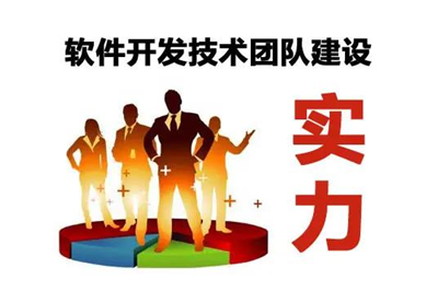 自建技術團隊開發(fā)軟件可以嗎?