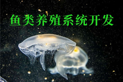 魚(yú)類(lèi)養(yǎng)殖系統(tǒng)開(kāi)發(fā)的優(yōu)勢(shì)功能(圖1)