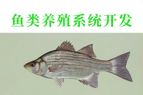 魚(yú)類(lèi)養(yǎng)殖系統(tǒng)開(kāi)發(fā)的優(yōu)勢(shì)功能(圖2)