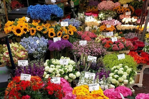 花卉采購(gòu)APP開(kāi)發(fā)的功能及其優(yōu)勢(shì)(圖2) 花卉采購(gòu)APP開(kāi)發(fā)的功能及其優(yōu)勢(shì)(圖2)