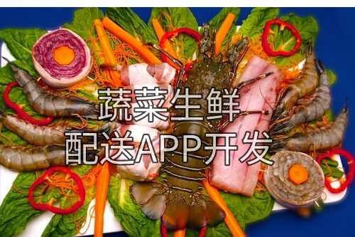 德州蔬菜生鮮配送APP開發(fā)所需的功能及費(fèi)用介紹(圖2) 德州蔬菜生鮮配送APP開發(fā)所需的功能及費(fèi)用介紹(圖2)