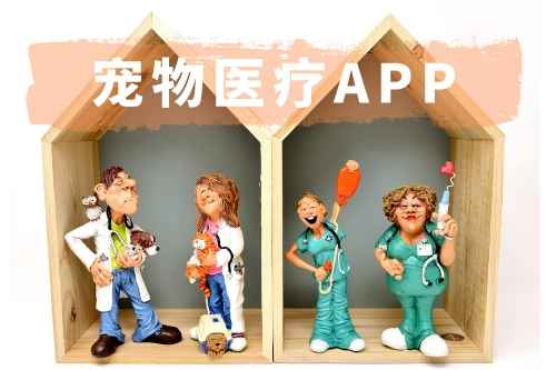 寵物醫(yī)療APP開發(fā)有哪些功能(圖1) 寵物醫(yī)療APP開發(fā)有哪些功能(圖1)