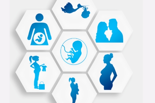 孕期指導(dǎo)app開發(fā)的功能包括什么(圖1) 孕期指導(dǎo)app開發(fā)的功能包括什么(圖1)