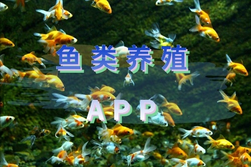 如何開發(fā)一款魚類養(yǎng)殖APP 軟件(圖1)