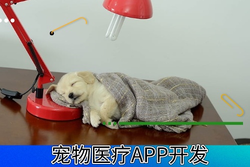 德州寵物醫(yī)療APP開發(fā)有什么功能模塊(圖1) 德州寵物醫(yī)療APP開發(fā)有什么功能模塊(圖1)