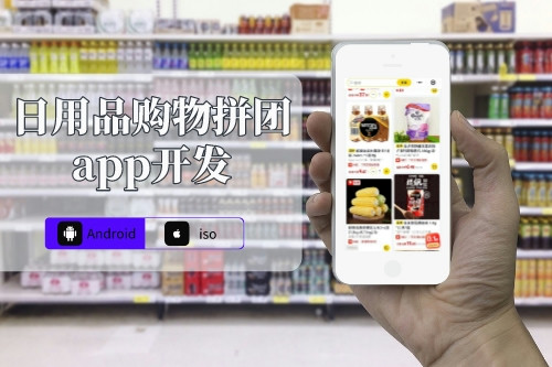 日用品購物拼團(tuán)app開發(fā)解決方案