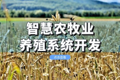 智慧農牧業(yè)養(yǎng)殖系統(tǒng)開發(fā)會給企業(yè)帶來什么價值