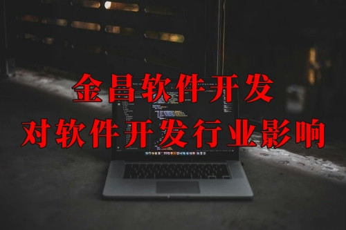 金昌軟件開發(fā)對軟件開發(fā)行業(yè)的影響及發(fā)展趨勢