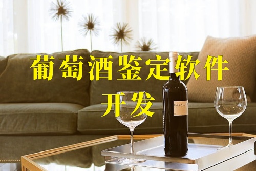 葡萄酒鑒定軟件開發(fā)(圖1) 葡萄酒鑒定軟件開發(fā)(圖1)